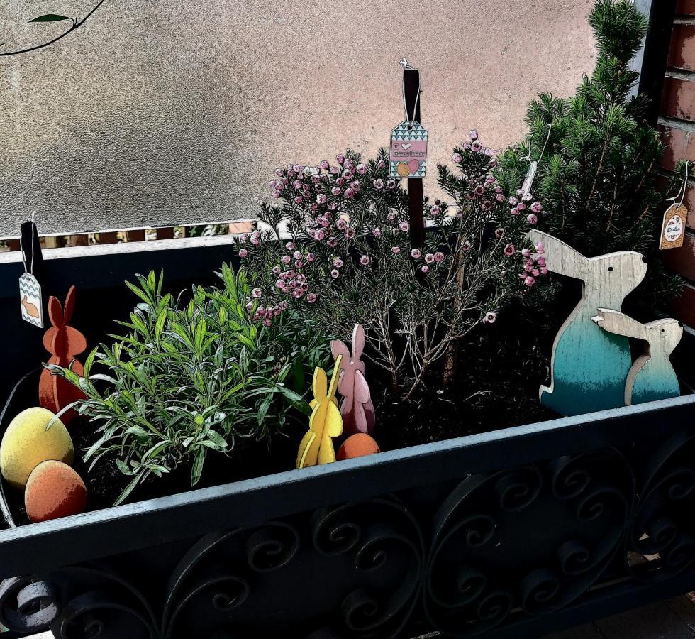 A Casa Di Gemma Hotel Bologna Eksteriør billede